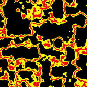 Micro Organism. project preview