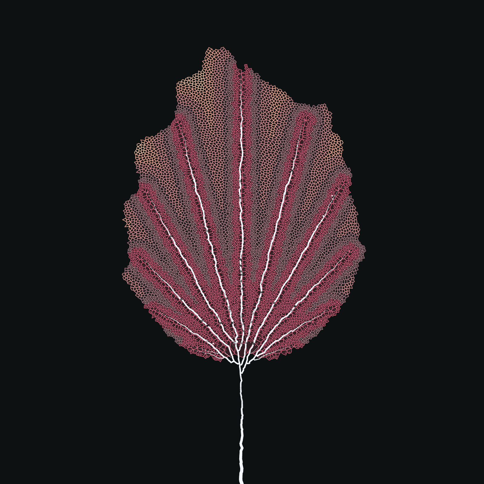 Leaf study #14 static token preview