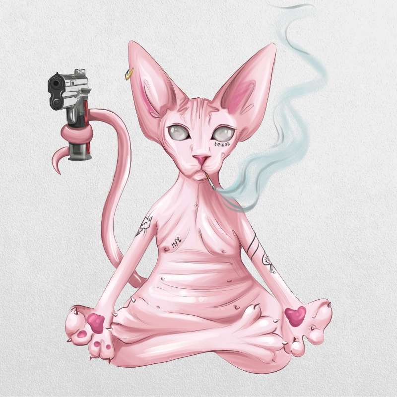 YogaCat #16 static token preview