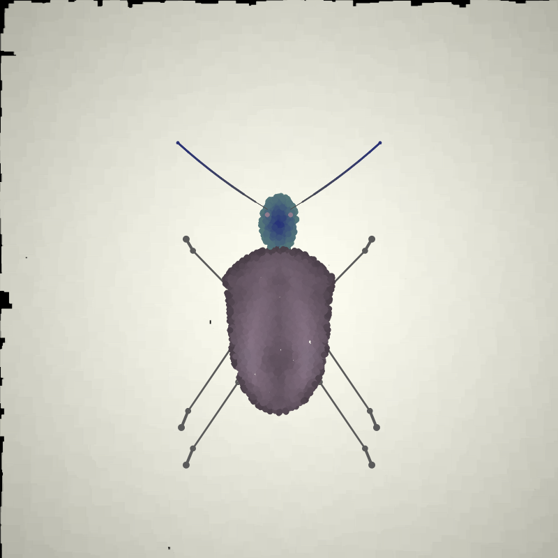 Beetle Sketches #11 static token preview
