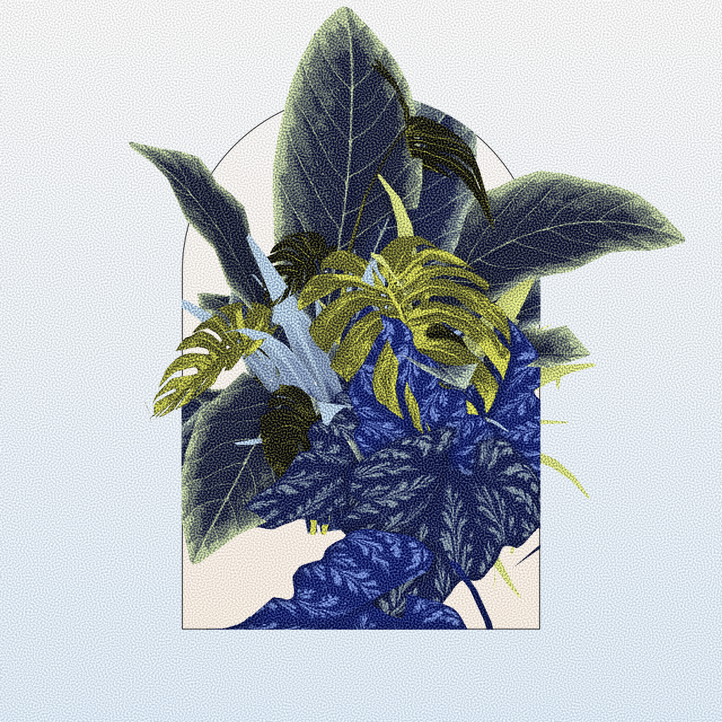 Botany #17 static token preview