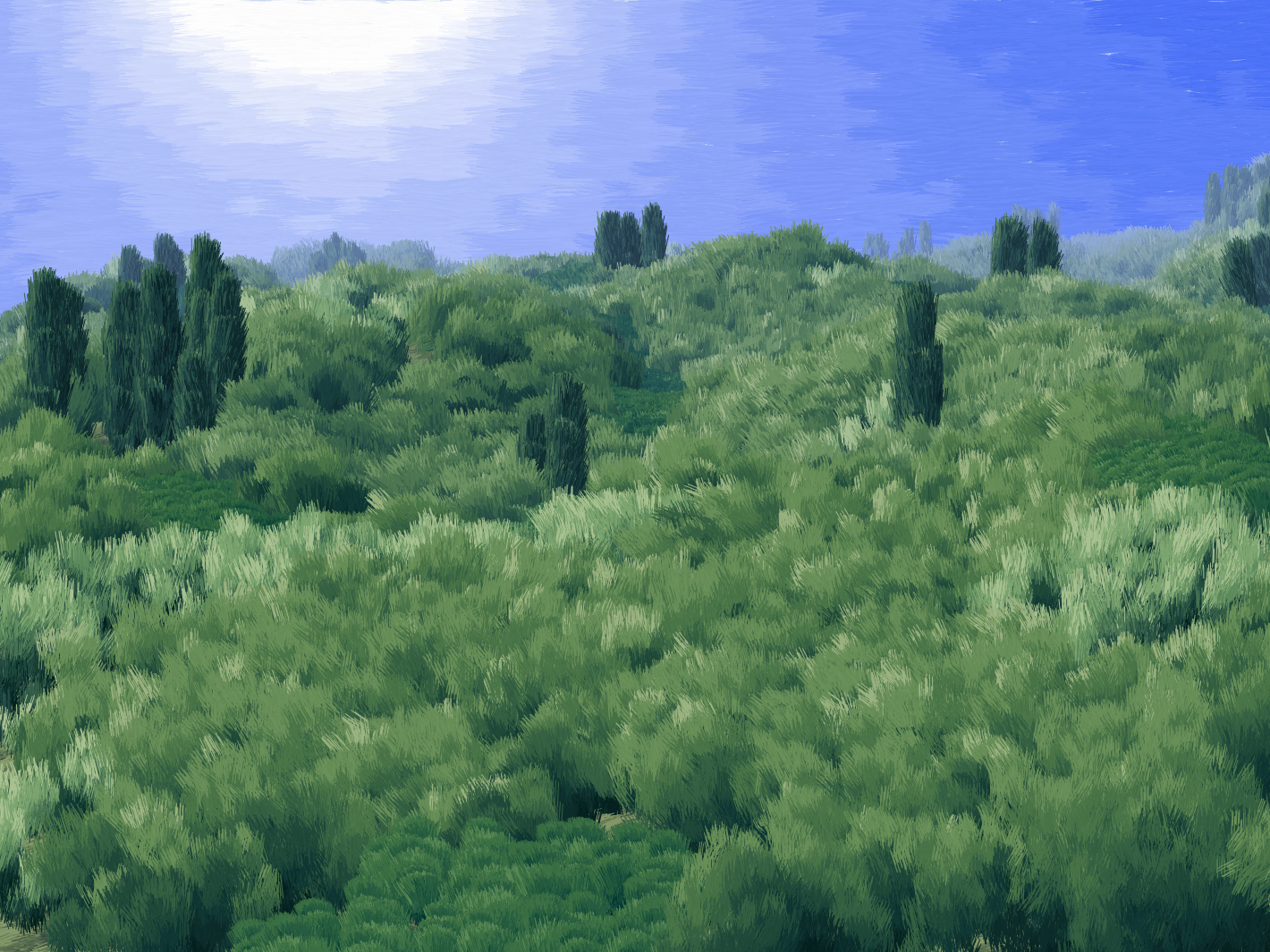 Provence #8 static token preview