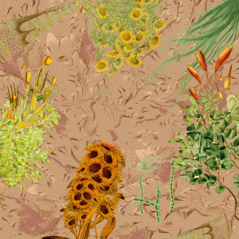 future flora from Antarctica's past #12 static token preview