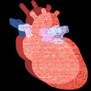Heart Beat project preview