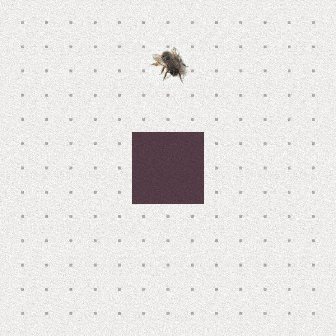 Bee #4 static token preview