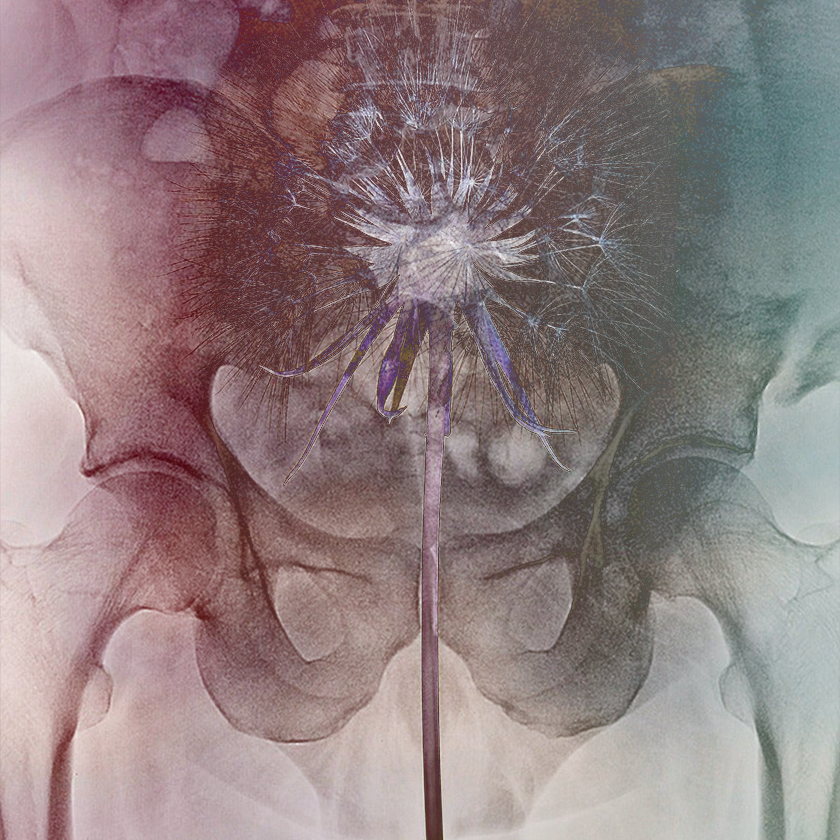 flowers and death #16 static token preview