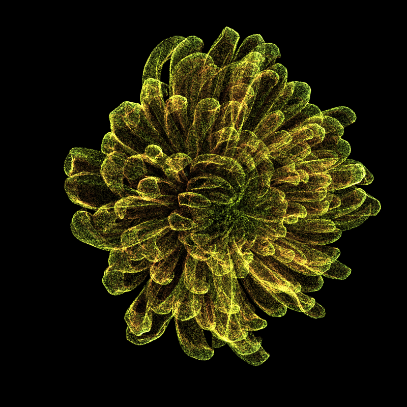 Chrysanthemum Morifolium 30 #57 static token preview
