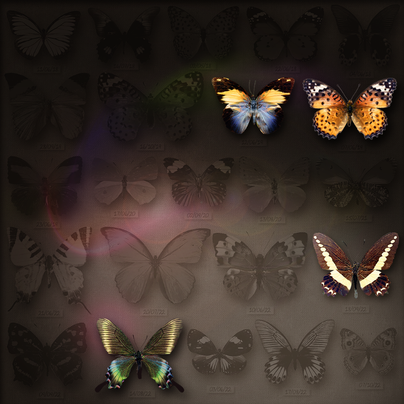 Save Butterfly World #9 static token preview