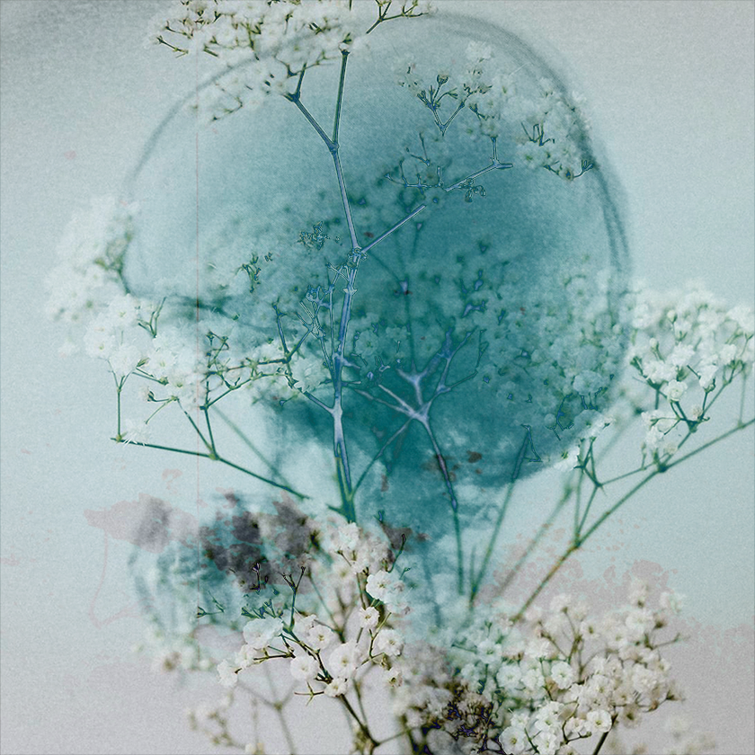 flowers and death #14 static token preview