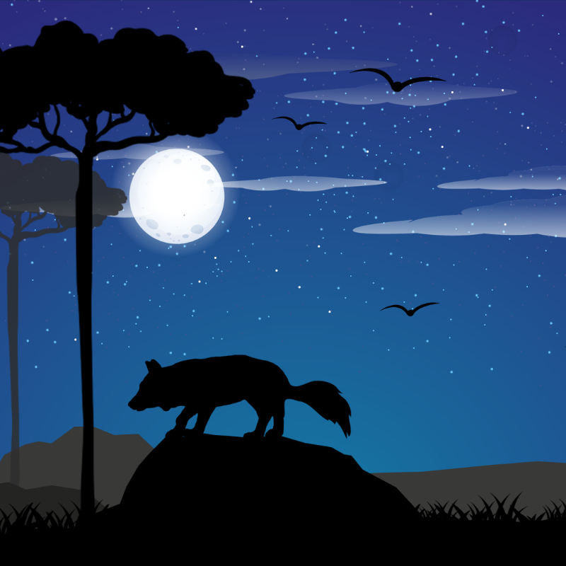 We Care...Fox #8 static token preview