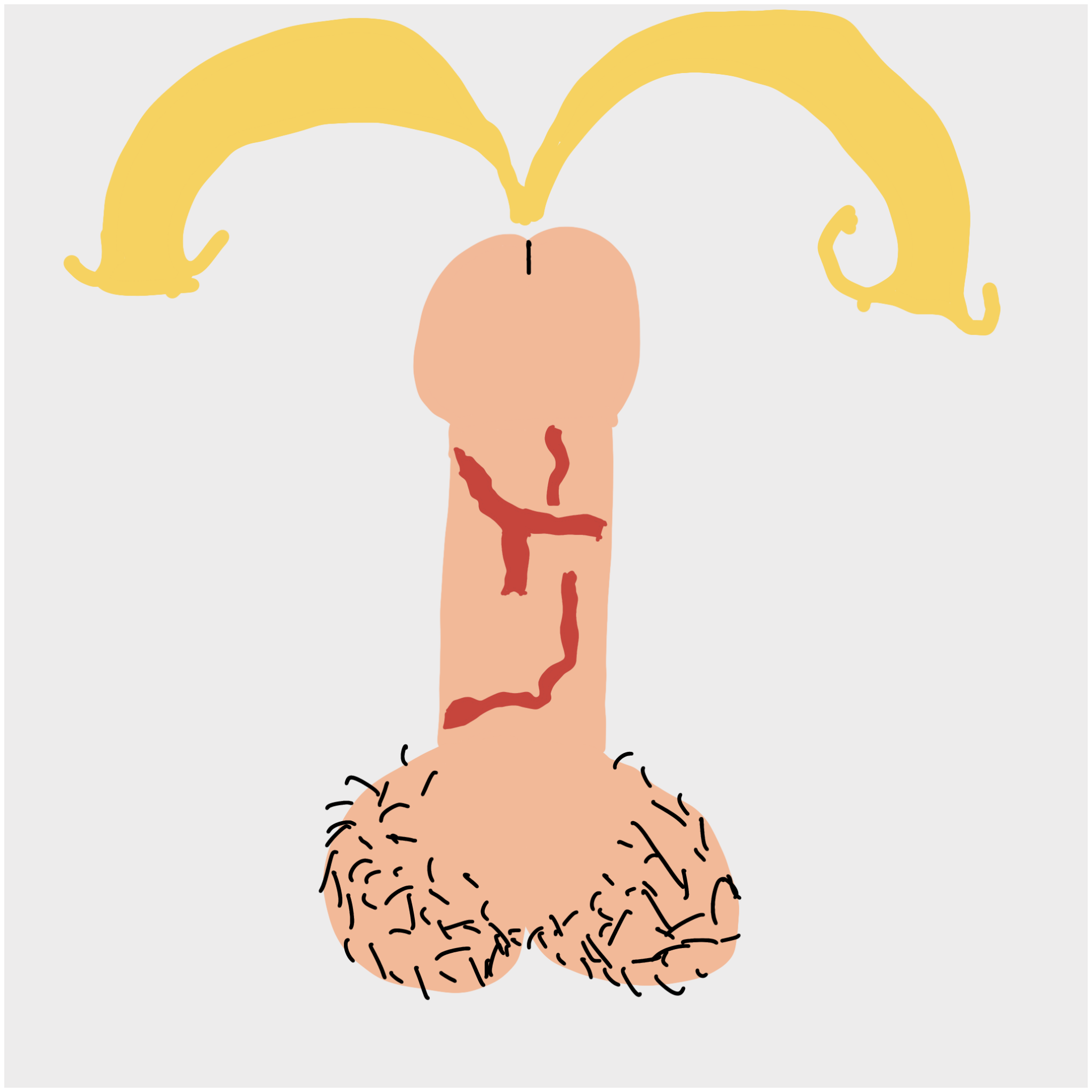Dickgenerative Art #75 static token preview