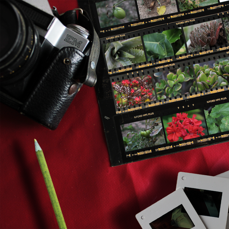 Contact Sheet #8 static token preview