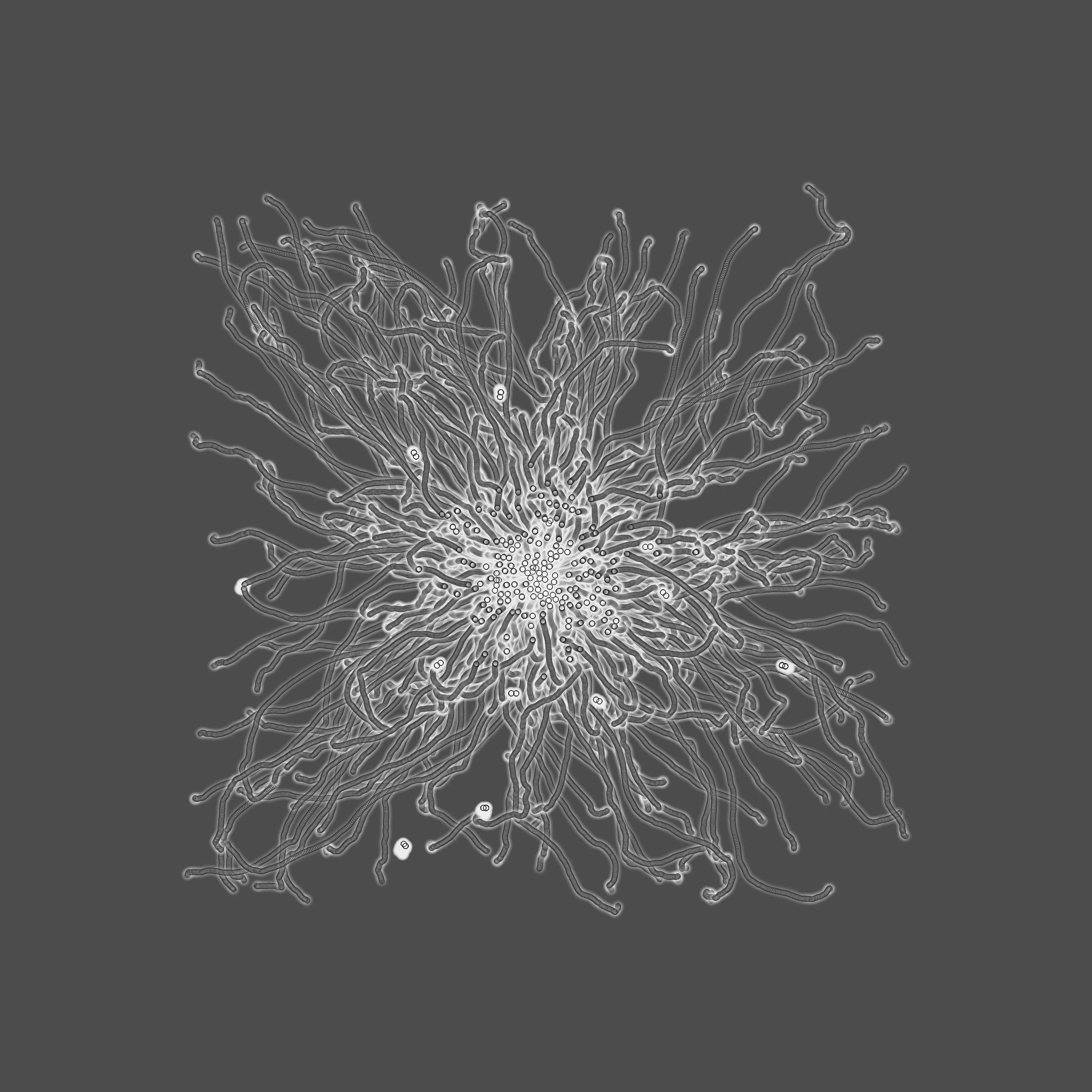 grey fungi wisdom #10 static token preview