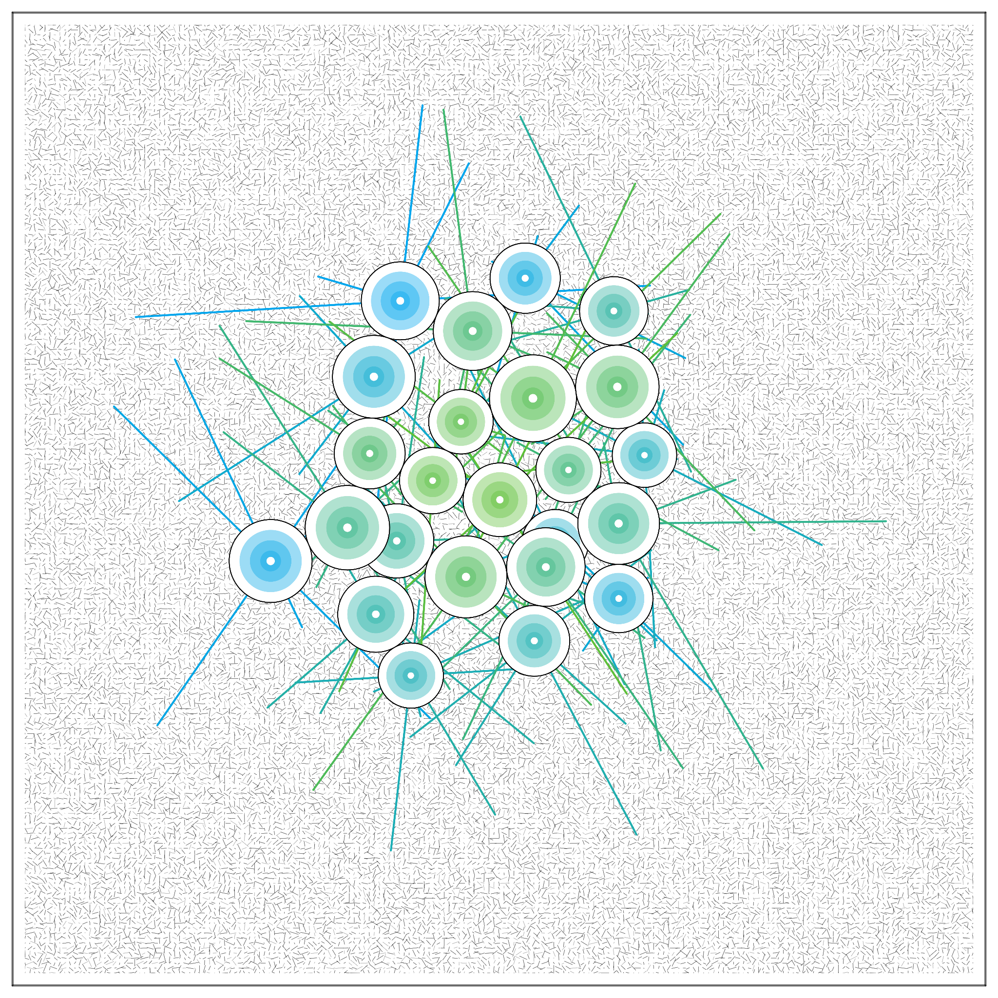 T#6Z#O #21 static token preview