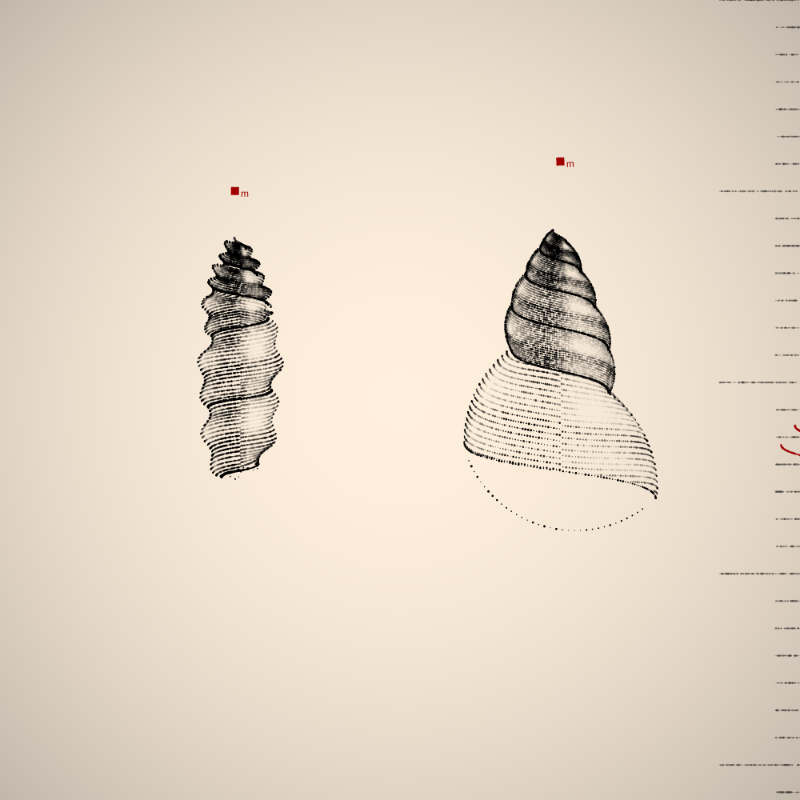 Two Specimen #22 static token preview