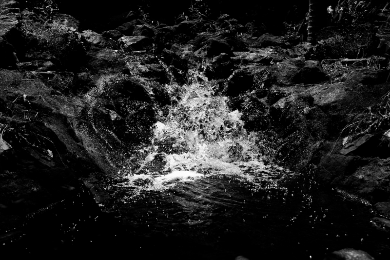 chasing waterfalls #4 static token preview