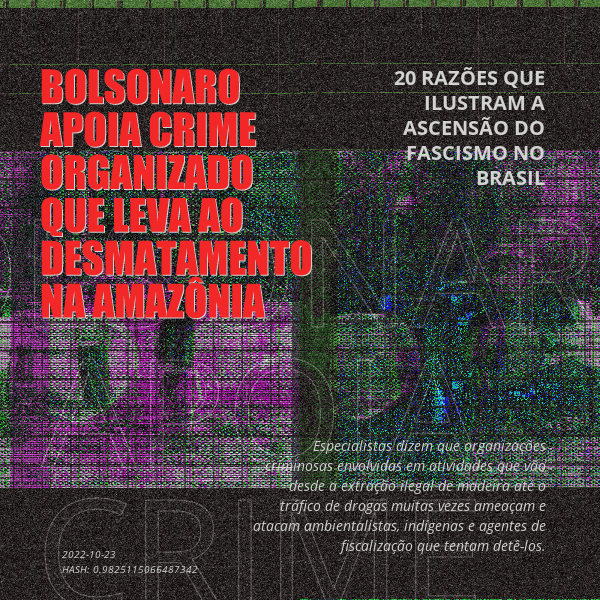 B4D - Brazil4Democracy #12 static token preview