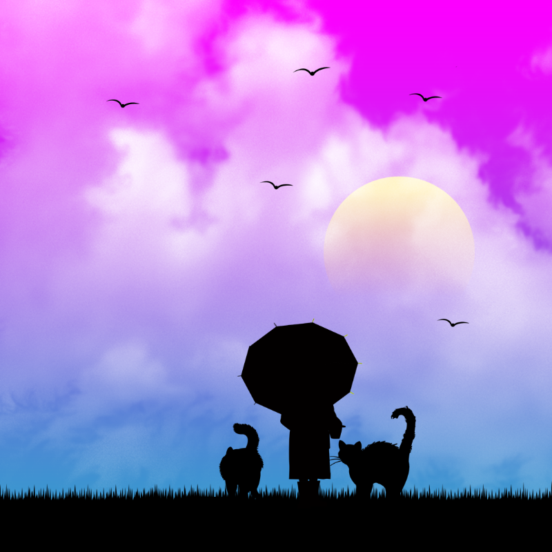 We Care...Cat #4 static token preview