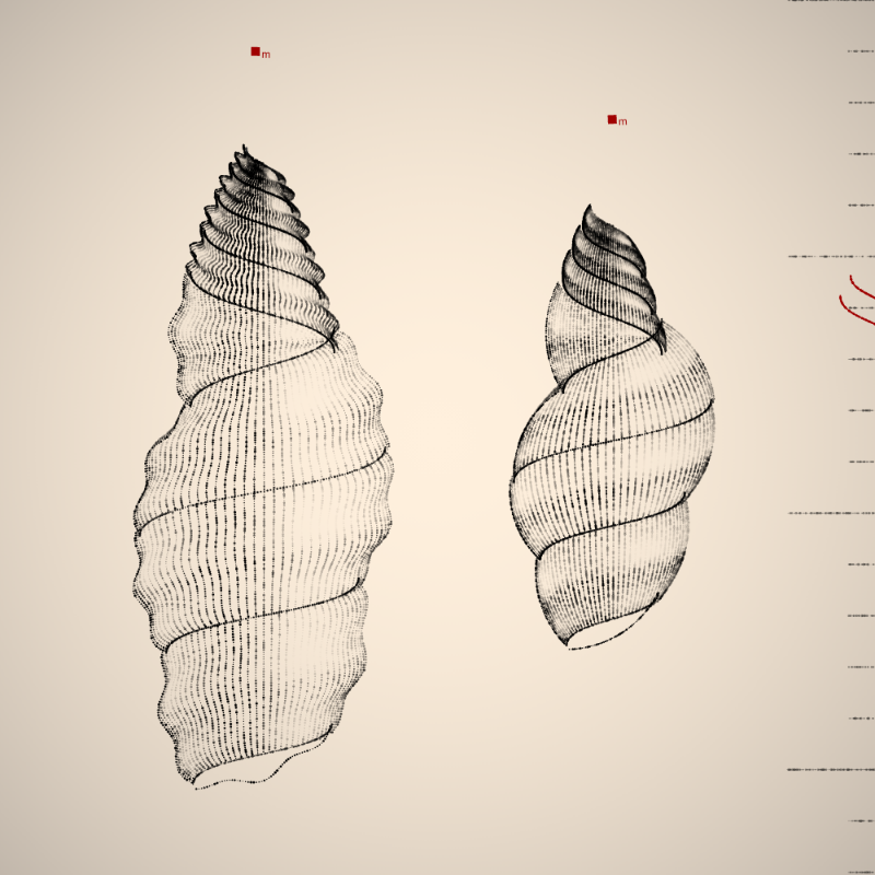 Two Specimen #23 static token preview