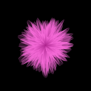 Blossoms project preview