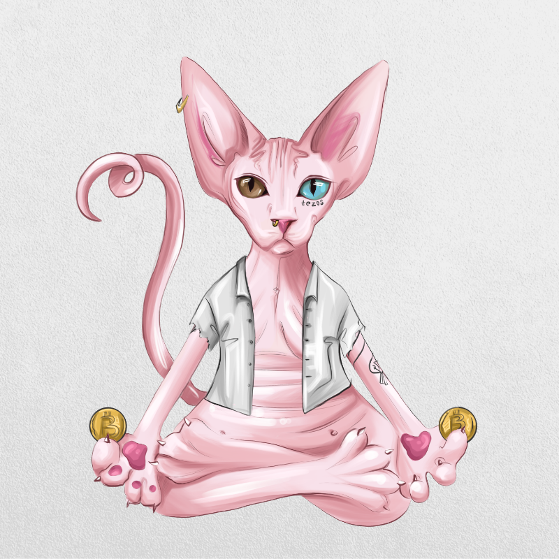 YogaCat #44 static token preview