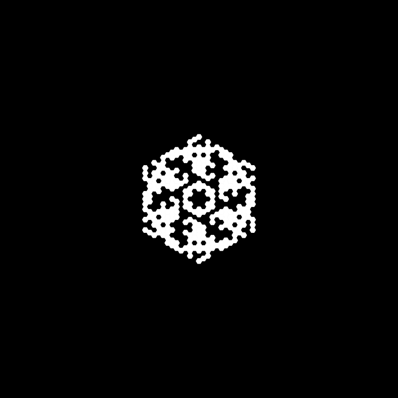 Snowflake #13 static token preview