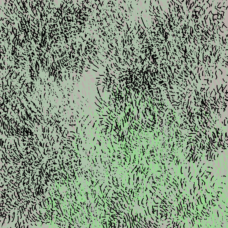 a bird worked on my painting #2 static token preview