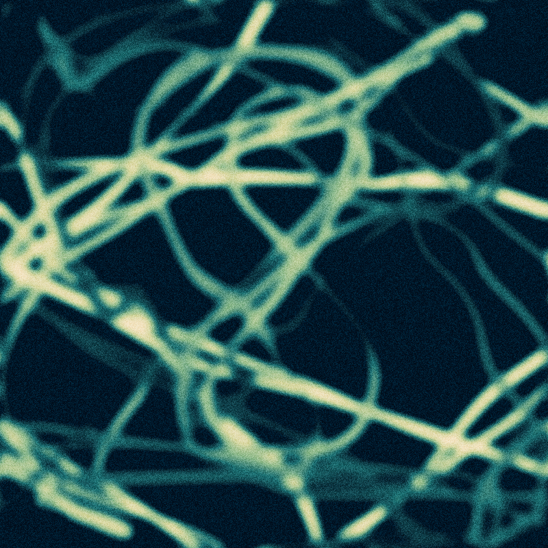 Rhizome #9 static token preview