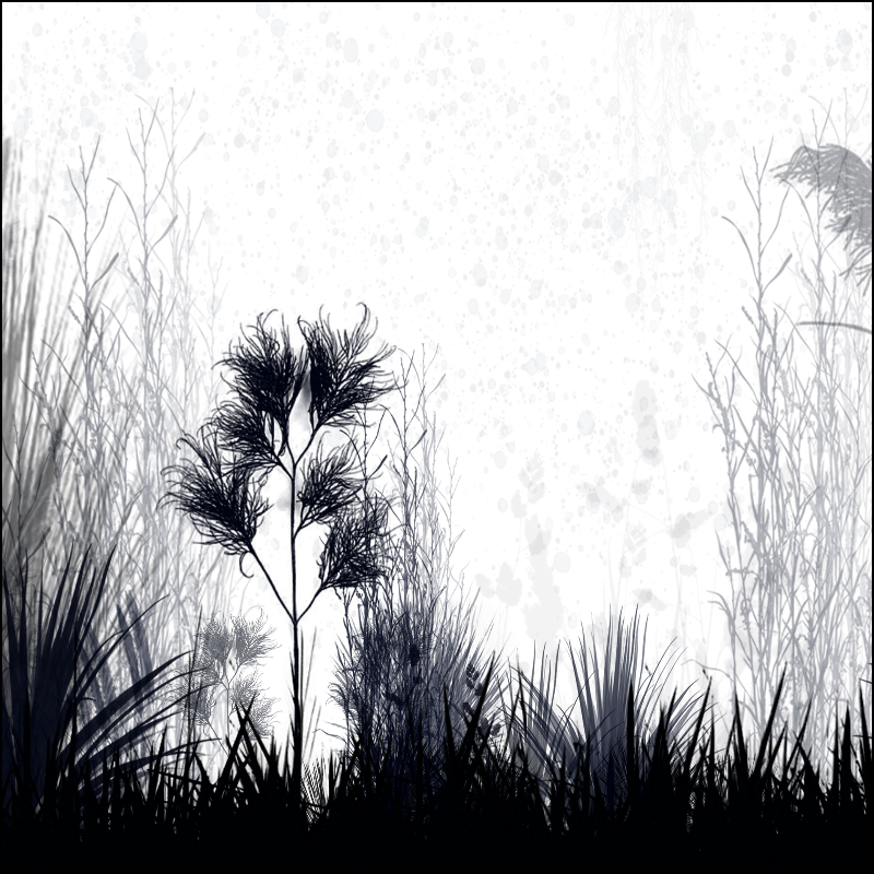 NaturalGarden "Subtil And Unique Colour" #19 static token preview