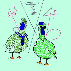 Important geese project preview