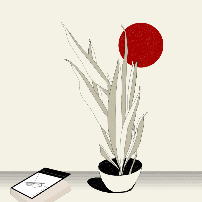 Still Life #2 #28 static token preview