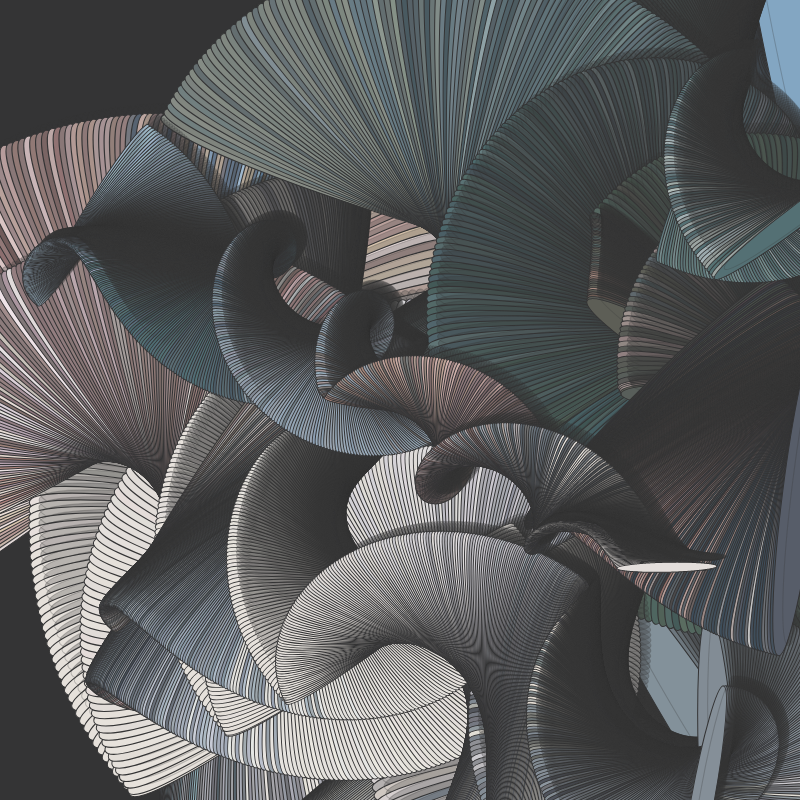 Seashells #2 static token preview