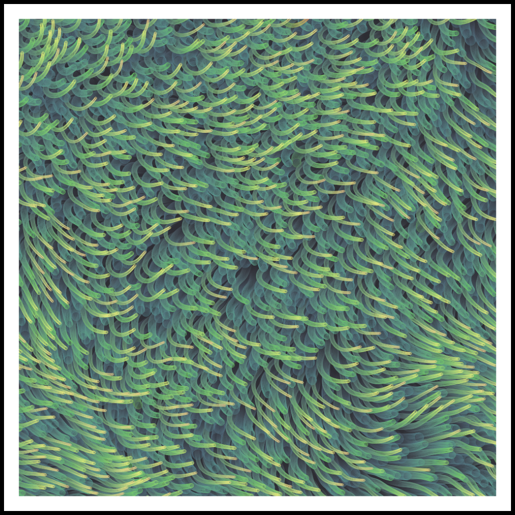 Studies of Motion #11 static token preview