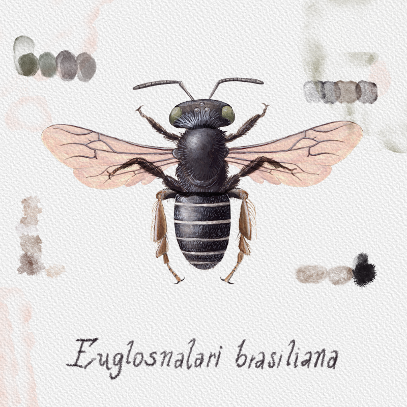 Randomic Brazilian Bees #1 static token preview