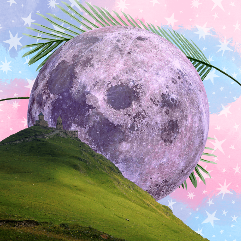 Pink Moon #6 static token preview