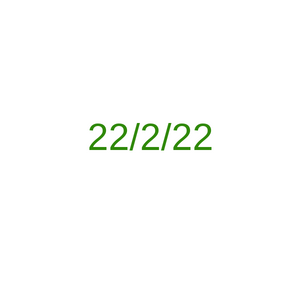 22/2/22 project preview