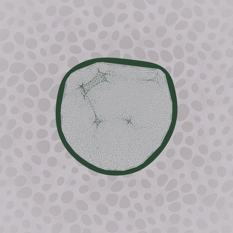 Protista #3 static token preview