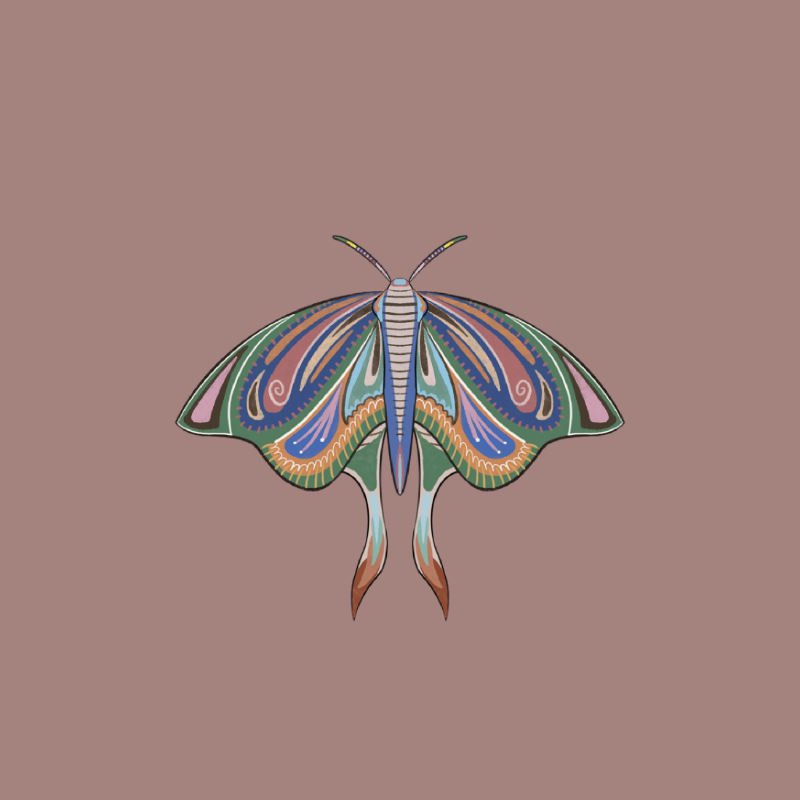 The Moth Experiment 2.0 P1 #19 static token preview