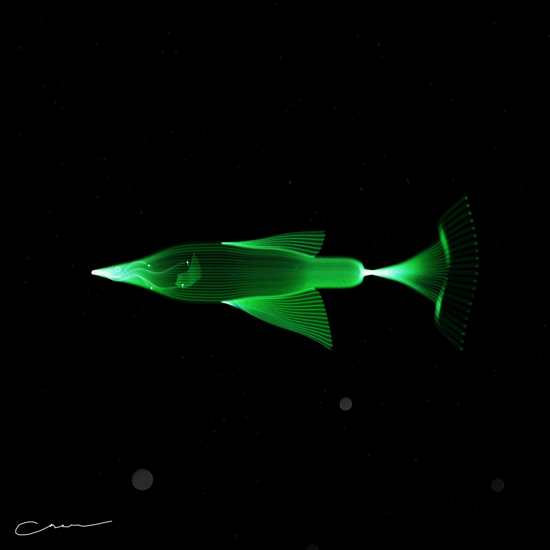 SoulFish #10 static token preview