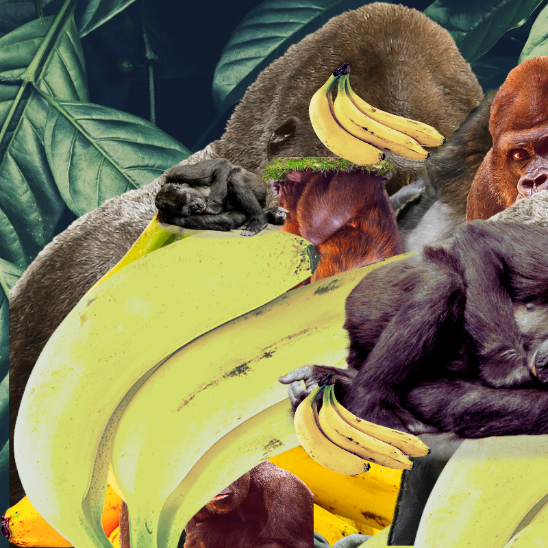 Banana #1 #18 static token preview