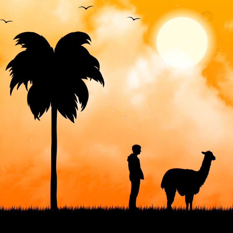 We Care...Llama #3 static token preview