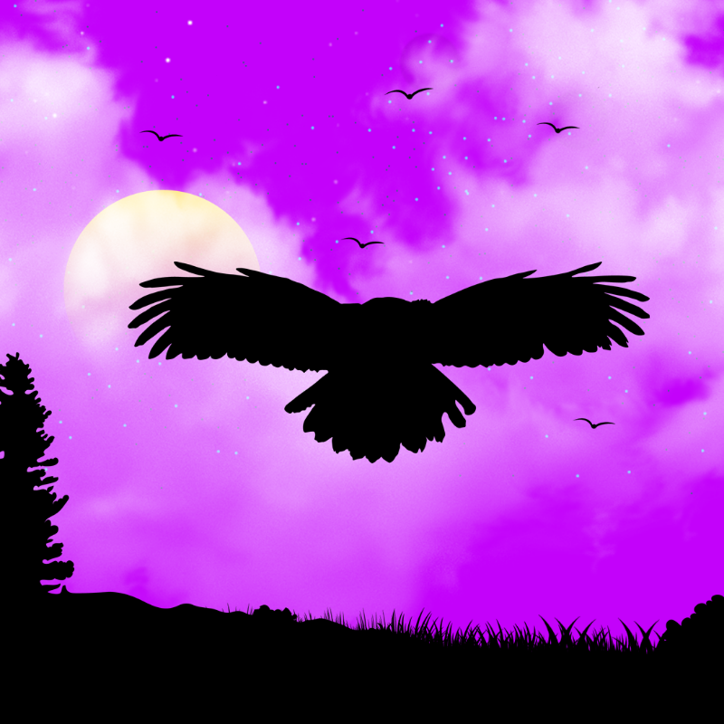 We Care...Owl #15 static token preview
