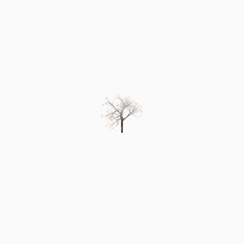 To Be a Tree #1 static token preview