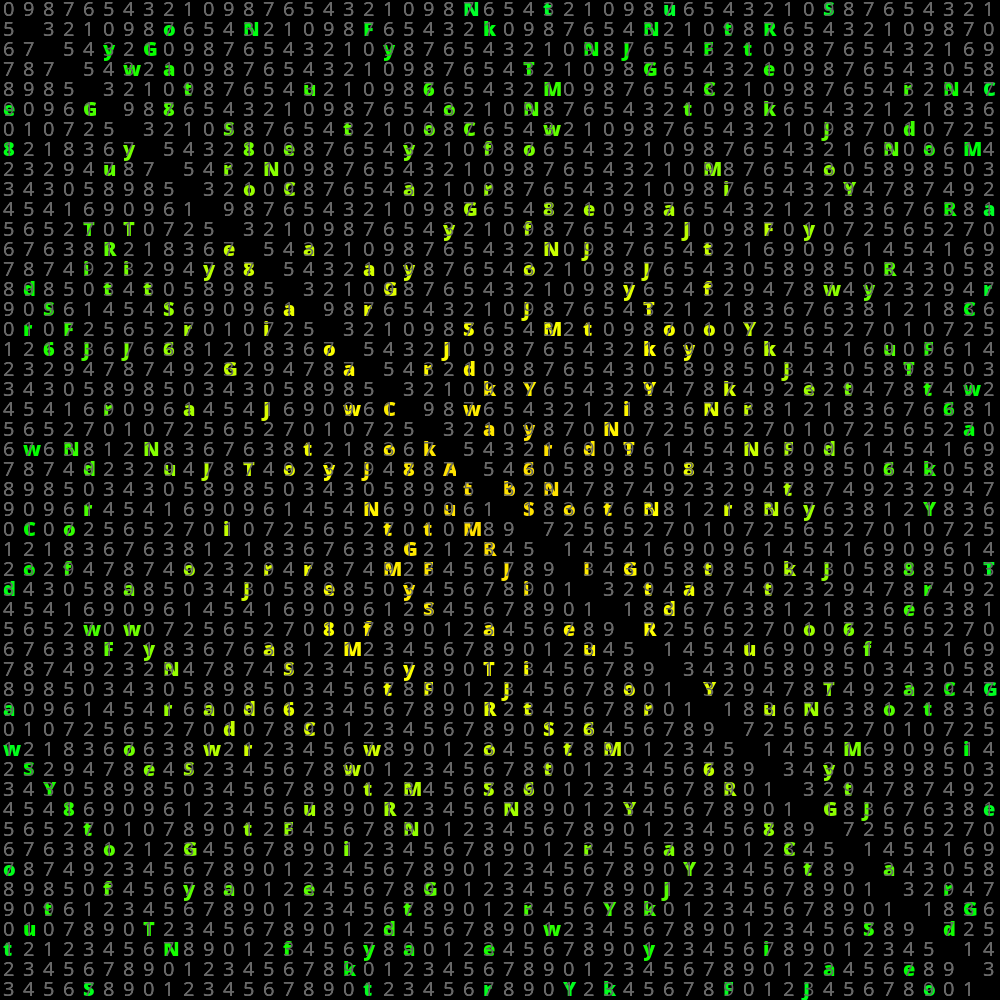 USCII #11 static token preview