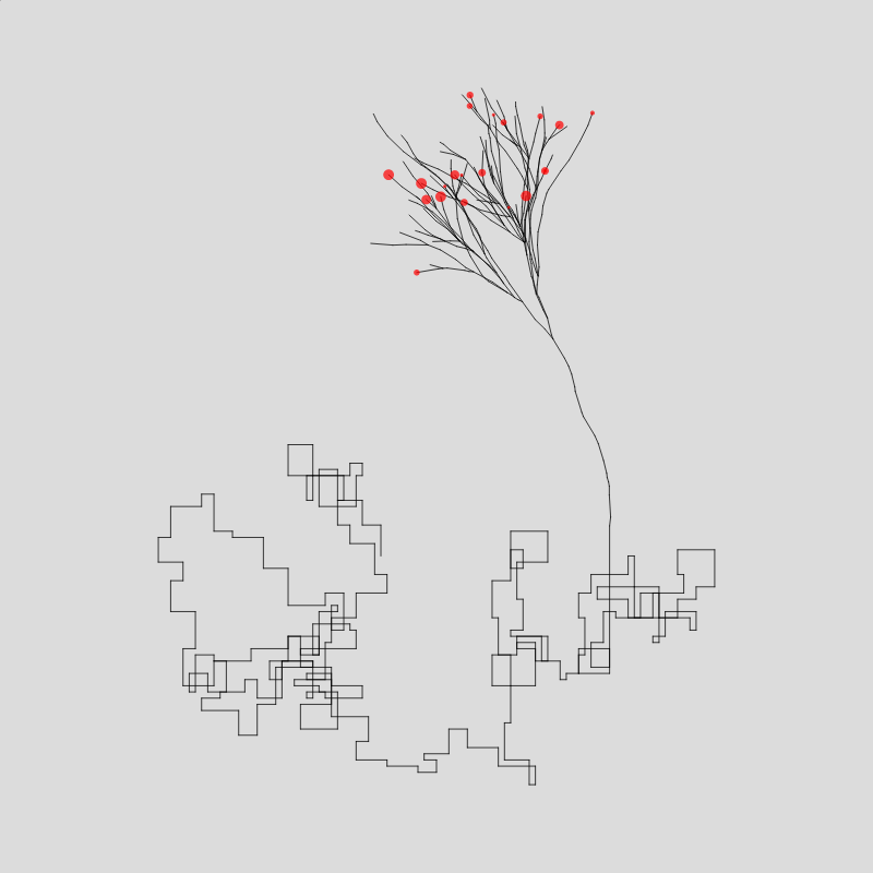Algorithmic Tree #7 static token preview