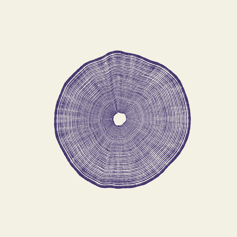 🌲Trunks #9 static token preview