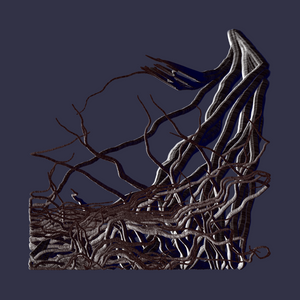 Root project preview
