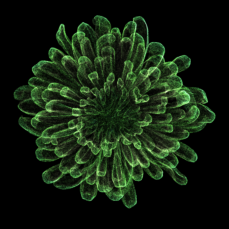 Chrysanthemum Morifolium 30 #58 static token preview