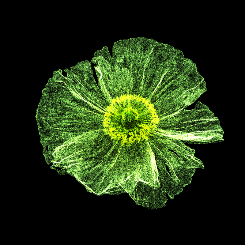White Poppy 30 #19 static token preview
