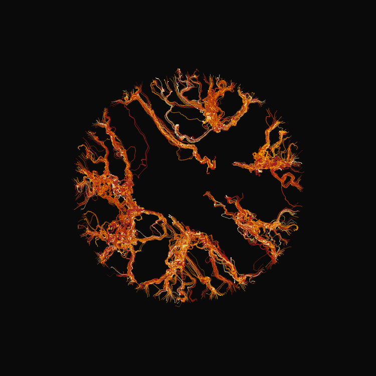 Ginseng #10 static token preview